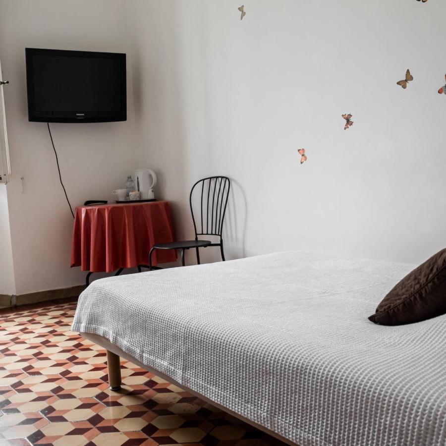 Arena Alfieri Bed and Breakfast Livorno Exterior foto